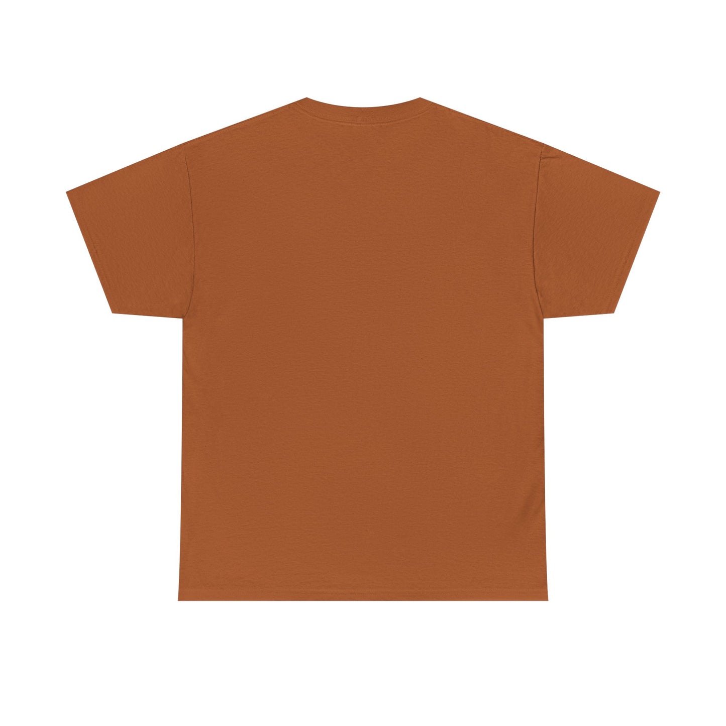 Fall Vibes T-Shirt, Fall Shirt, Fall Fashion, Fall Gift