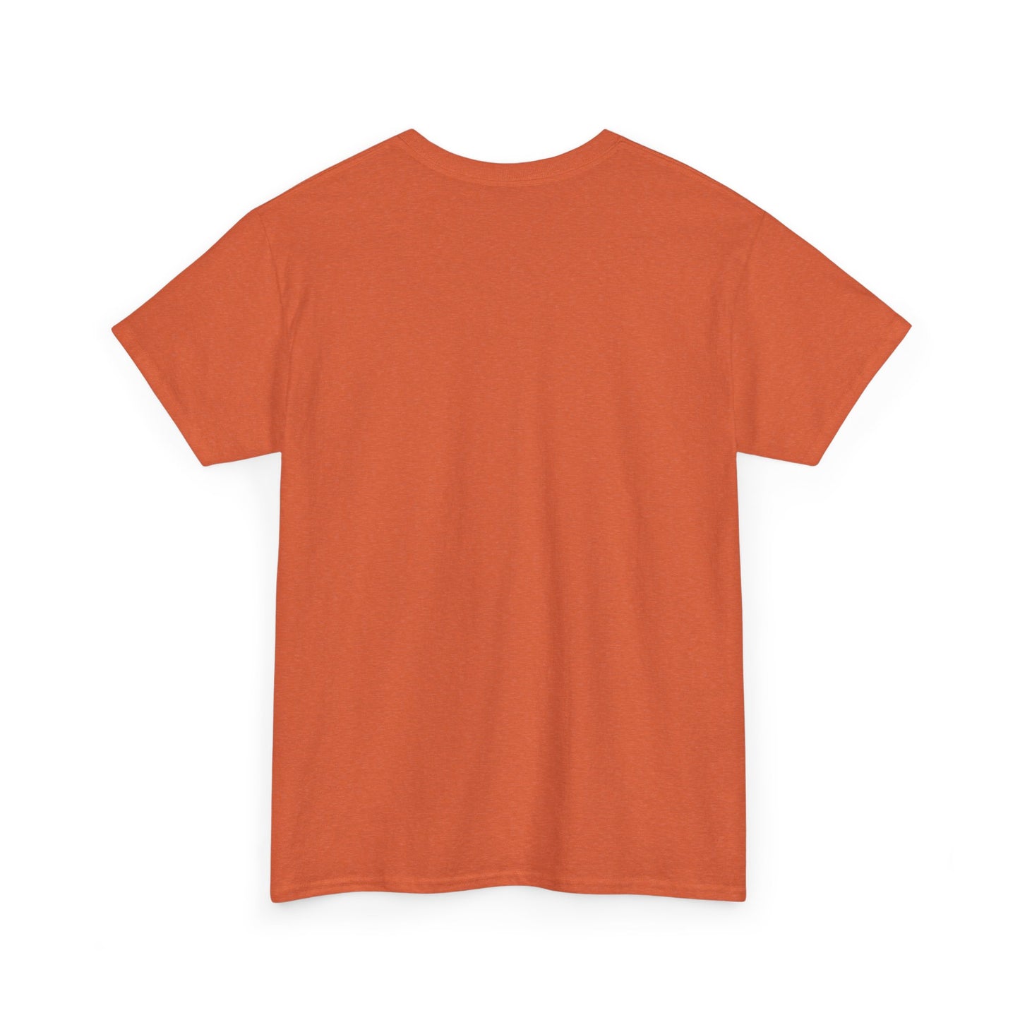 Fall Vibes T-Shirt, Fall Shirt, Fall Fashion, Fall Gift