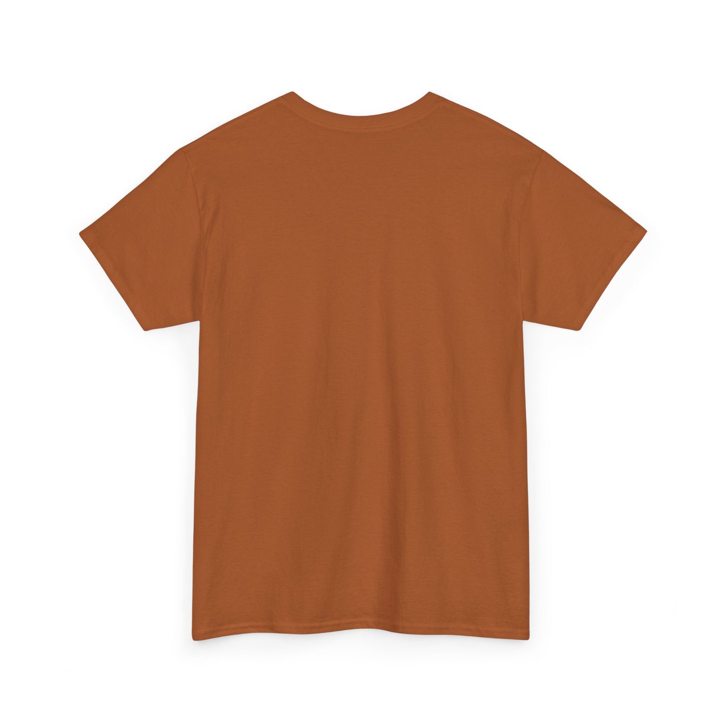 Fall Vibes T-Shirt, Fall Shirt, Fall Fashion, Fall Gift